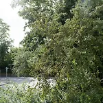 Work And Stay Apartment Balcony