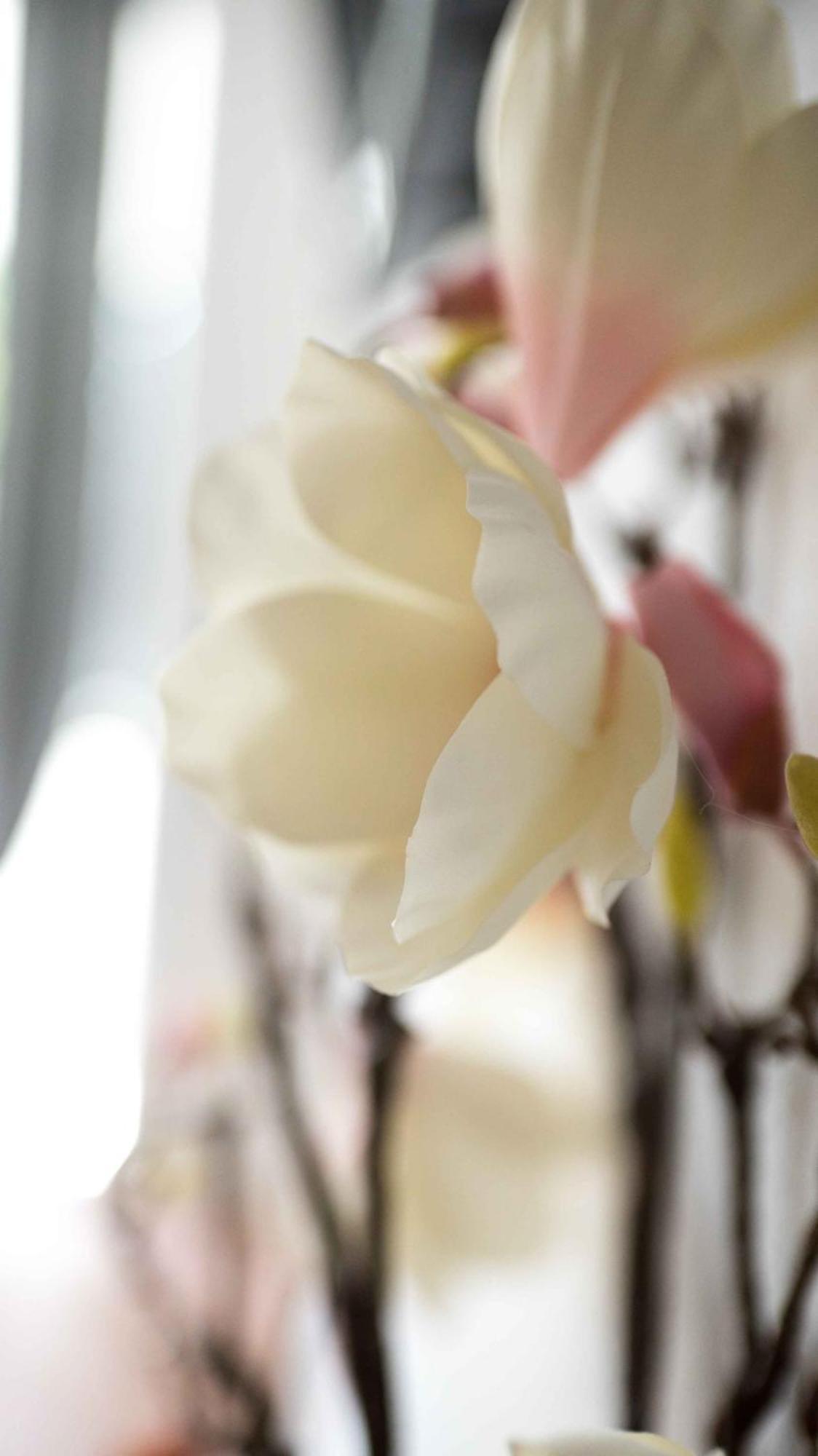 Work And Balcony Appartement *