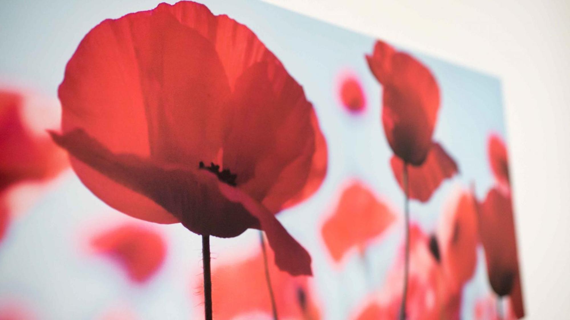 Work And Balcony Appartement *